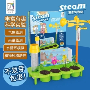 探索大自然的气息 风向标气象科学实验玩具的魅力